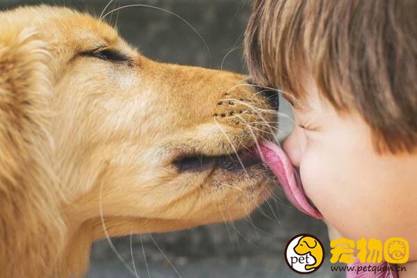 狗狗舔人不单单是喜欢你，还有可能是你身上又脏又臭