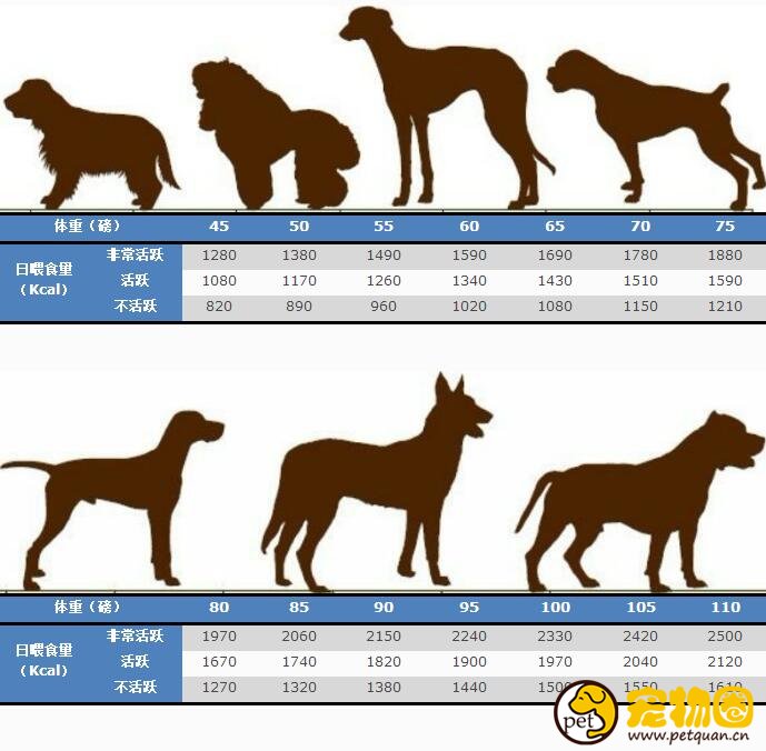 狗狗喂食量标准一览，喂养剂量和体重有关(附带食量对照表)