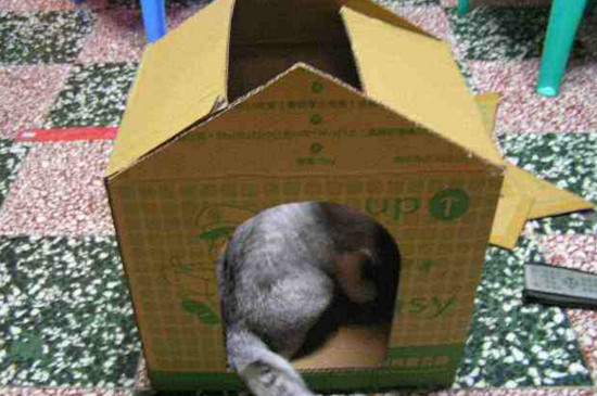自制猫窝纸箱房子