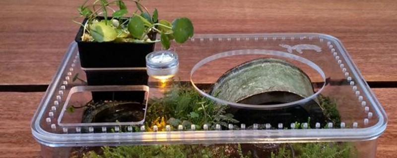 塑料盒自制乌龟缸