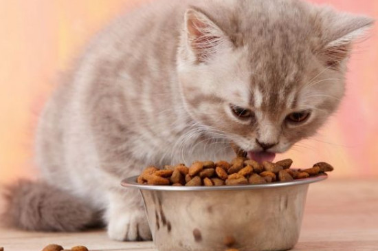 什么猫粮吃了拉屎不臭