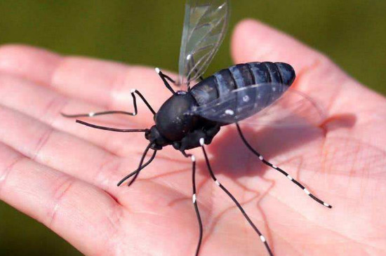 如果蚊子灭绝了会怎样