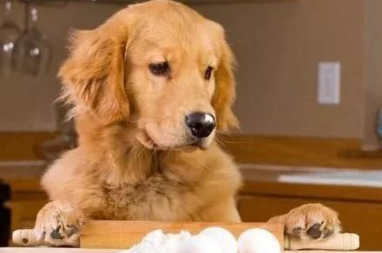 木糖醇对狗有害吗