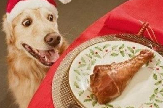 狗狗可以吃南瓜皮吗