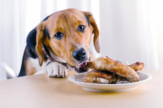 狗狗可以吃土豆片吗