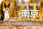 南京CKU全犬种冠军展6场(CAC)