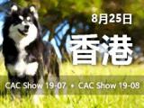 CKU香港全犬种冠军狗展2019-07、08
