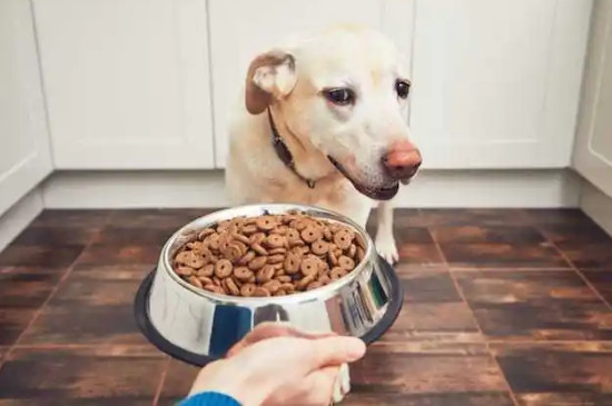 狗可以吃薯片吗