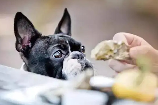 狗可以吃螃蟹壳吗