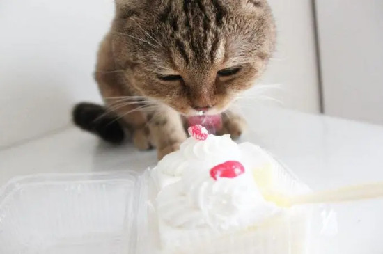 猫咪吃了一点点蛋糕没事吧