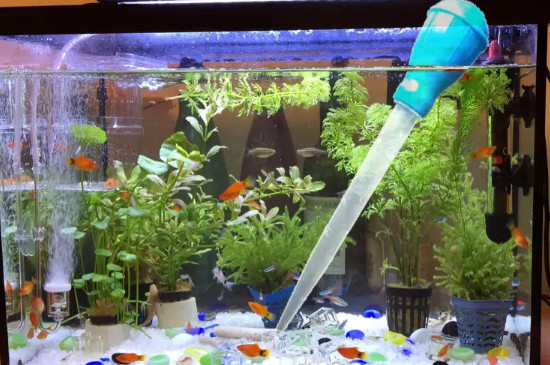 土方法鱼缸增氧