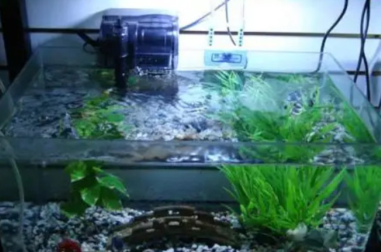土方法鱼缸增氧