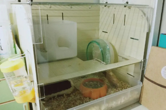 仓鼠笼子怎么安装