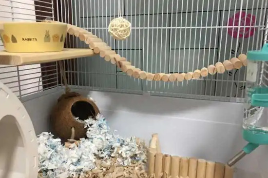 仓鼠笼子怎么安装
