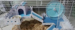 仓鼠笼子怎么安装